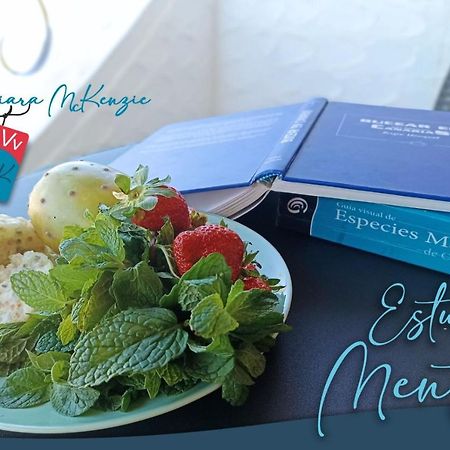Estudio Menta 타코론테 외부 사진